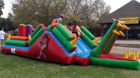 Colourful crocodile inflatable at a Bakiddies event